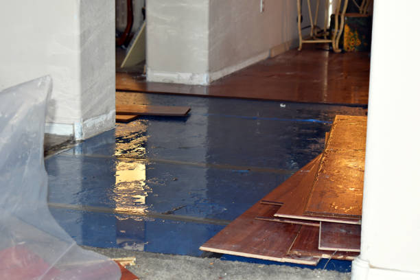 Professional Burst Pipe Cleanup technician working in Shade, OH